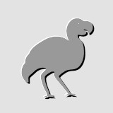 big bird
