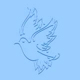 dove tile