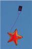 Sea Star (25K)