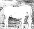 Stallion grazing in a marsh