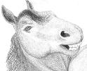 Grinning anthromorph horse