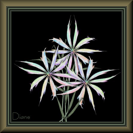 Strange Bouquet