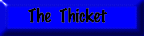 The Thicket