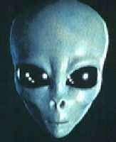 Dr. Michael Wolf's Revelations