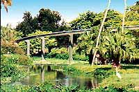 monorail 8
