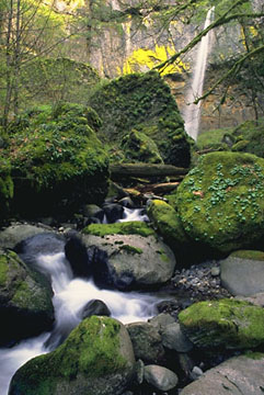 watera1.jpg