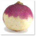 turnip