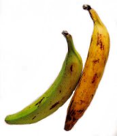 plantain