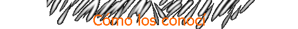 Cmo los conoc