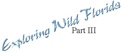The continuing adventures of Peter R. Gerbert 