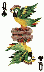 Queen of Clubs
