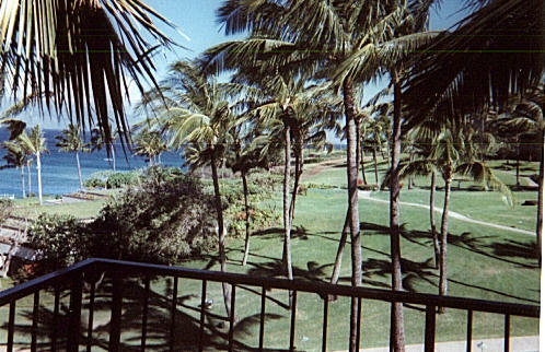 Kapalua Green!