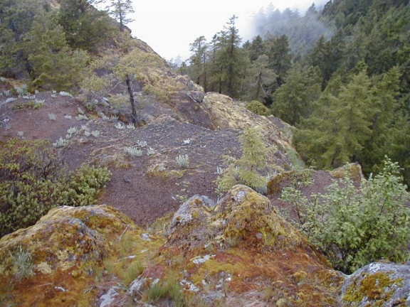 Mount Olympus National Park View