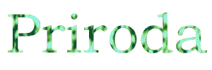 prirodalogo.gif (3696 bytes)
