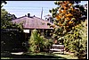 backyard.jpg