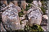 rocks3mtwellington.jpg