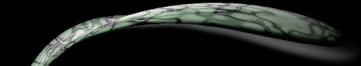 moon navtop