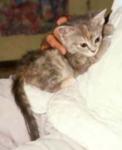 Baby in her daddy's lap