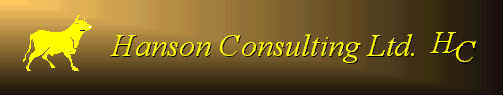 Hanson Consulting