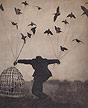 [bird man]