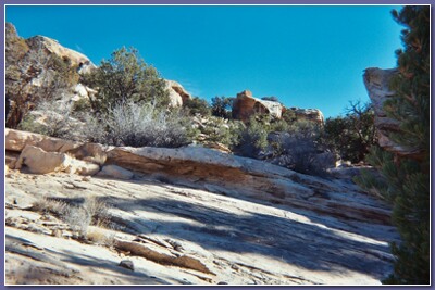 [Canyon]