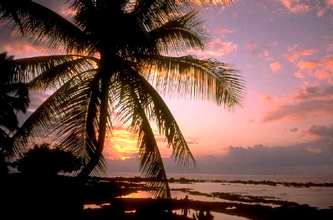 ATARDECER EN LA PLAYA.jpg (51569 bytes)