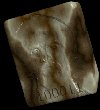 anagly.jpg - 3,42 K