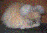 logoart.gif (8544 bytes)