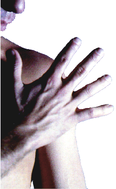 diego_index.gif (46616 bytes)