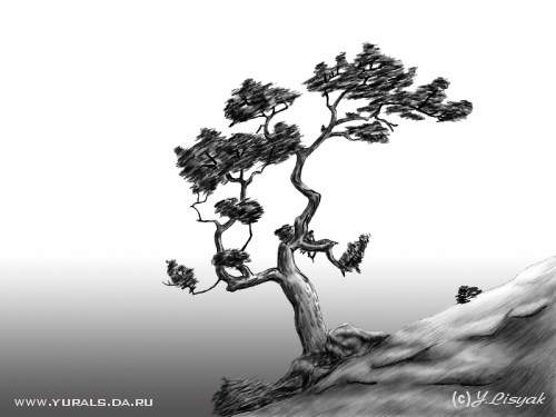 tree.gif (64035 bytes)