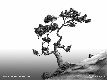 tree.gif (4613 bytes)