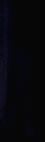 image from the forest of day and night