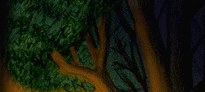 image from the forest of day and night