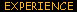 experience_tx.jpg (6455 bytes)