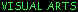 visual_arts_tx.jpg (6506 bytes)