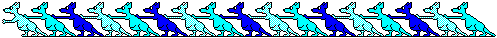 blue roos