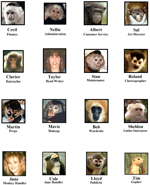 staff photos