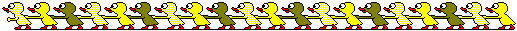 yellow ducks