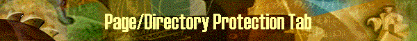Page/Directory Protection Tab