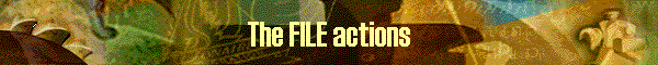 The FILE actions