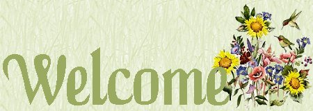 Welcome!