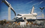 Noah's Space Shuttle