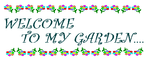 My Garden