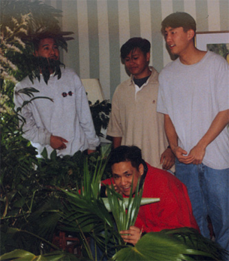 in hercy's jungle