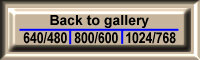 Back to gallery: choose screen dimension