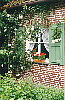 fotot5k.jpg (6598 bytes)