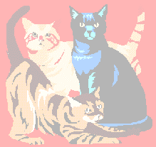 cats