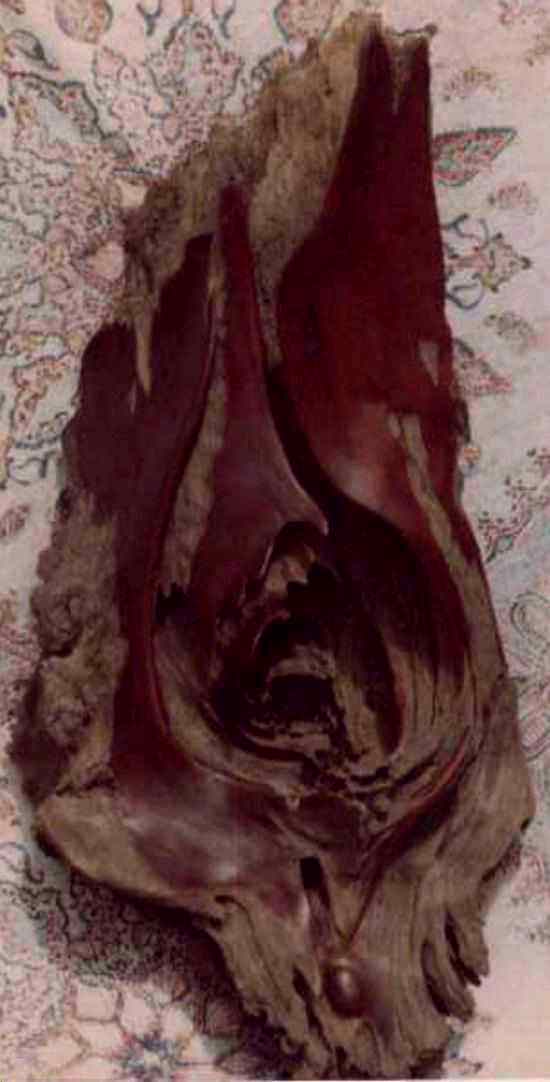 Trebble Cleft