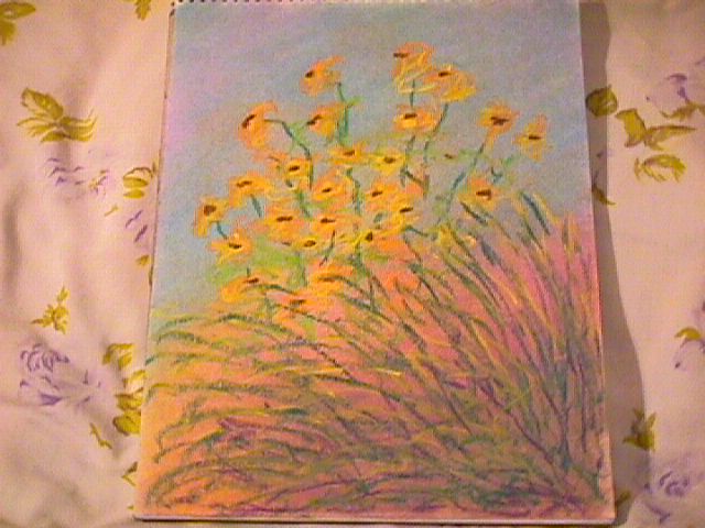 Black Eyed Susan