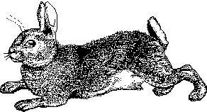 Return to Main Page